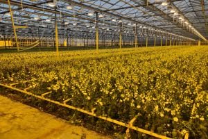 G&J Droogtechniek Klimaat